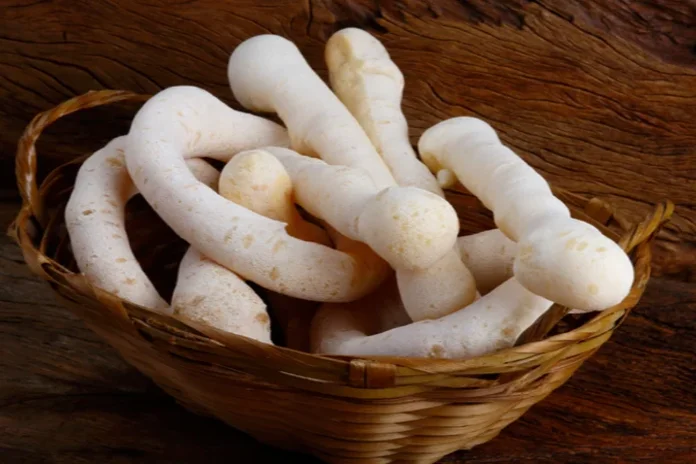 receita de biscoito de polvilho muito fácil caseiro