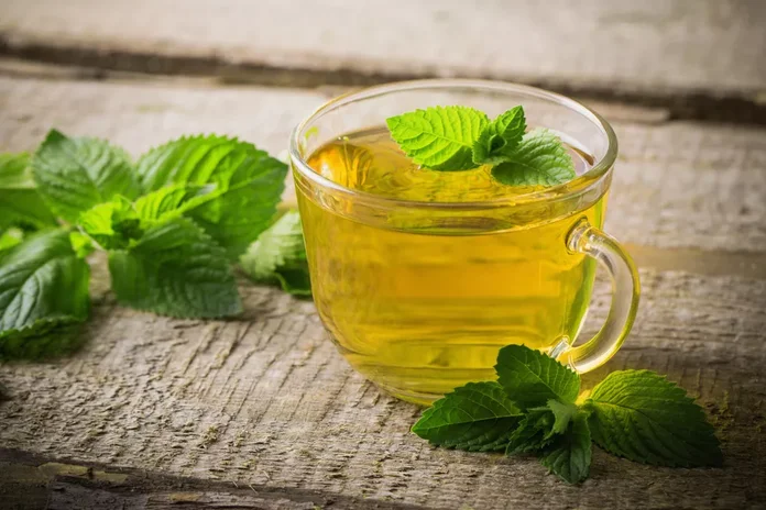 chá de hortelã detox ajuda na digestão hidratação e sensação de bem-estar